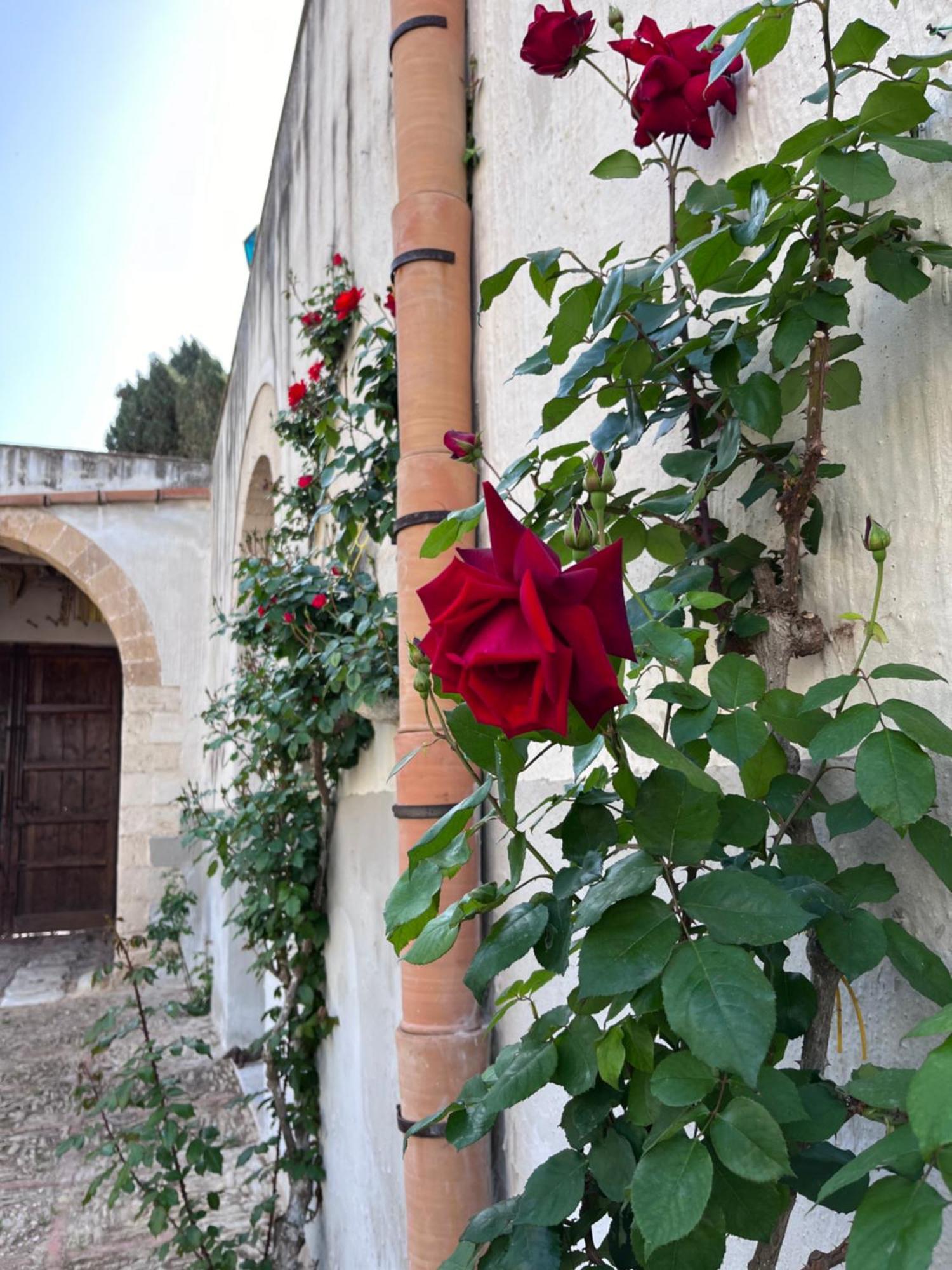 Villa Baglio Fontanasalsa Paceco Esterno foto